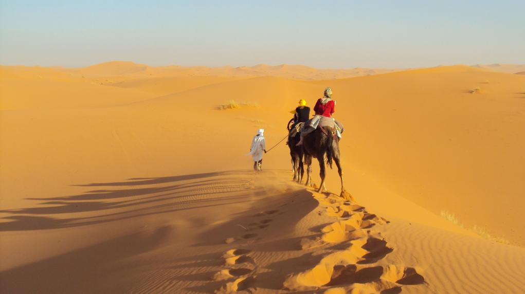 cavalcare un cammello nella notte del deserto