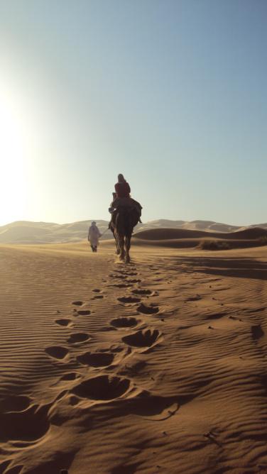 cammello trekking in sahara deserto del marocco