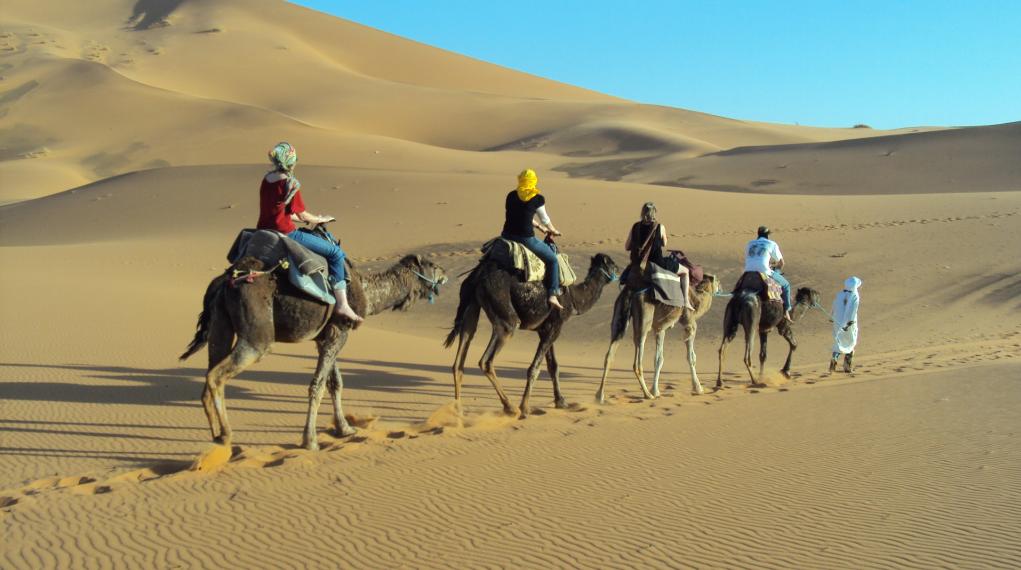 viaggio cammelli marocco merzouga