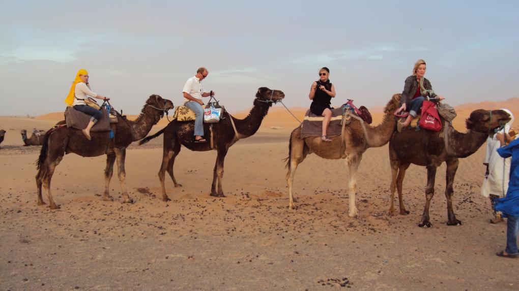 Tour cammello Marocco e note deserto erg chebbi Merzouga