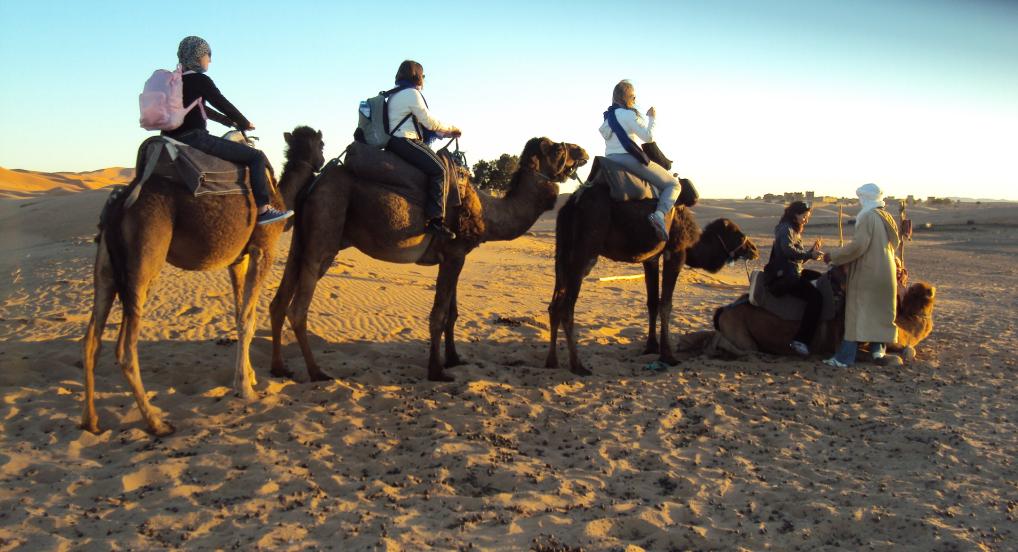 Cammello Trekking Tour in Marocco e Passeggiata Con il Cammello
