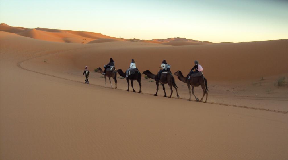 Percorsi in cammello nel deserto del Marocco