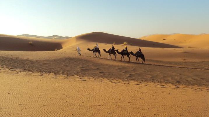 tour a cammello nel deserto con notte in tenda berbera in un oasi 
